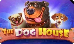 The Dog House original slot cover