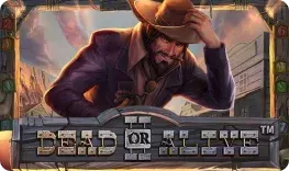 Dead or Alive II slot cover